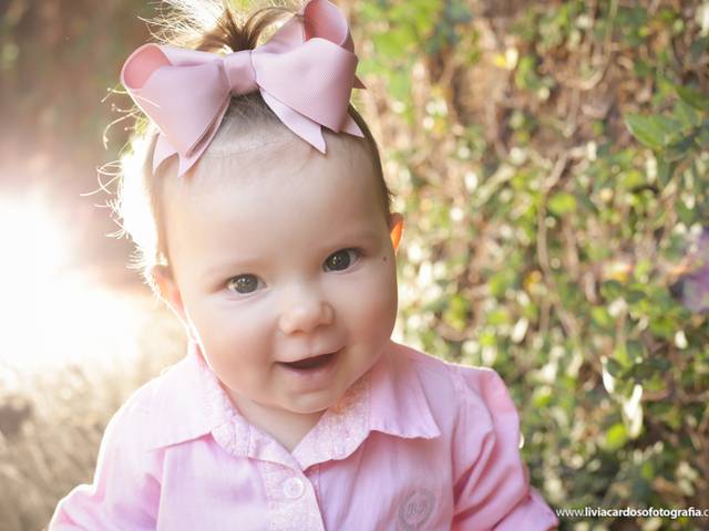 ACOMPANHAMENTOS de Cecília