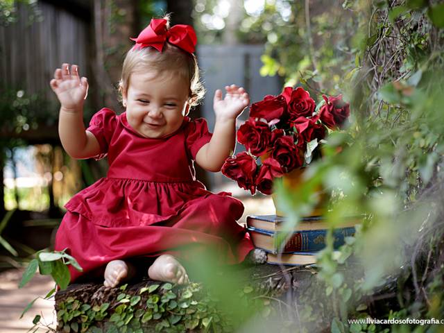 ACOMPANHAMENTOS de Sophia 