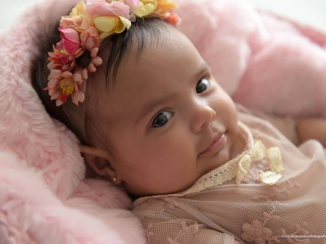 ACOMPANHAMENTOS de Acompanhamento Livia 2 Meses