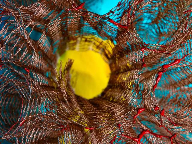 CATIVEIRO de :::CATIVEIRO:::