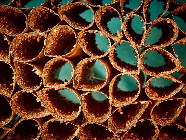 BERÇÁRIO de :::BERÇÁRIO:::