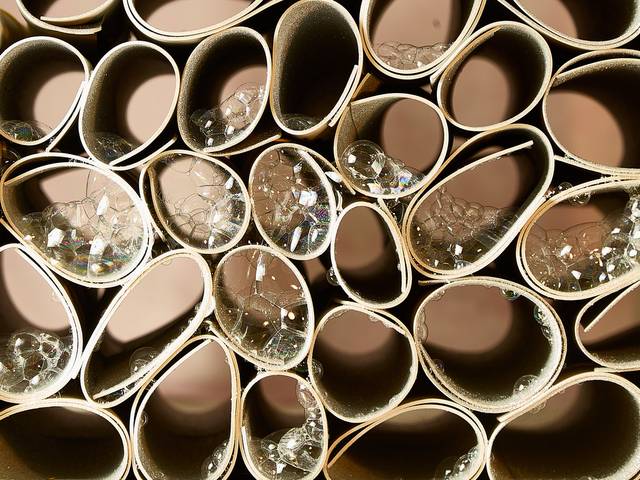 BOLHAS de :::BOLHAS:::