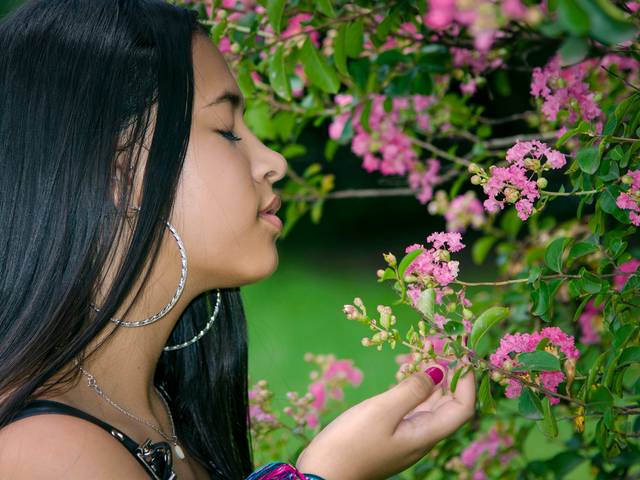 Ensaios de Letícia Salata