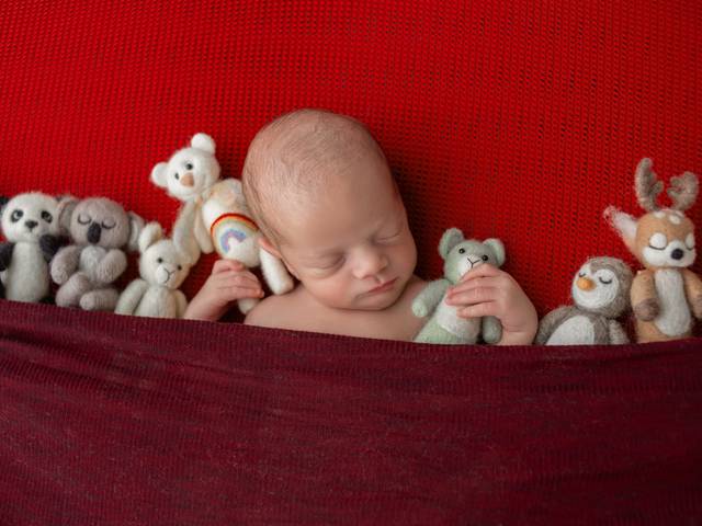 Newborn Session of Titto's Newborn Session