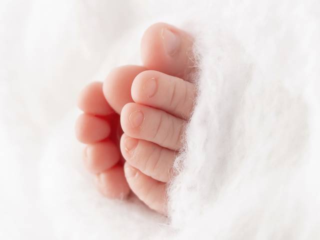 Newborn Session of Noah's Newborn Session
