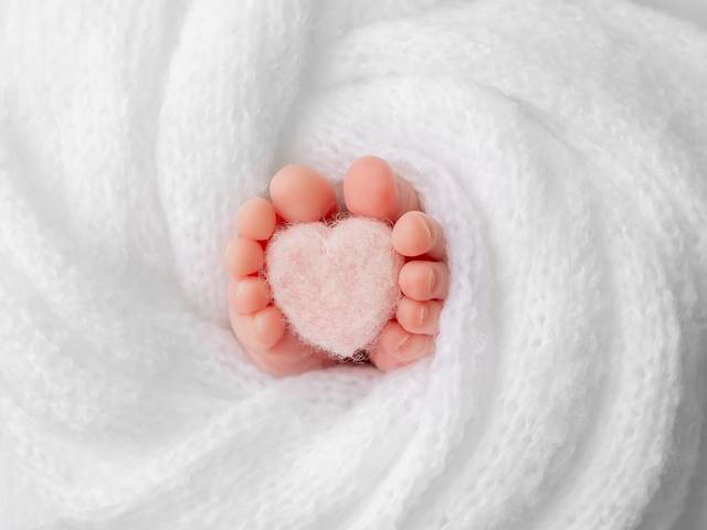 Newborn Session of Sarah`s Newborn Session