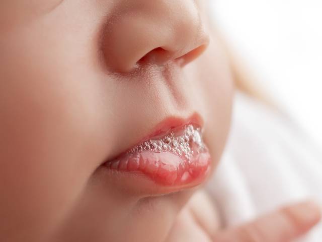 Newborn Session of Hillary`s Newborn Session