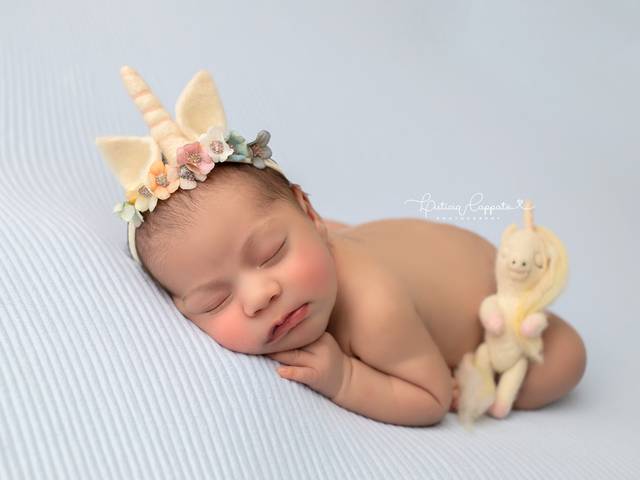 Newborn Session of Sophia Newborn Session