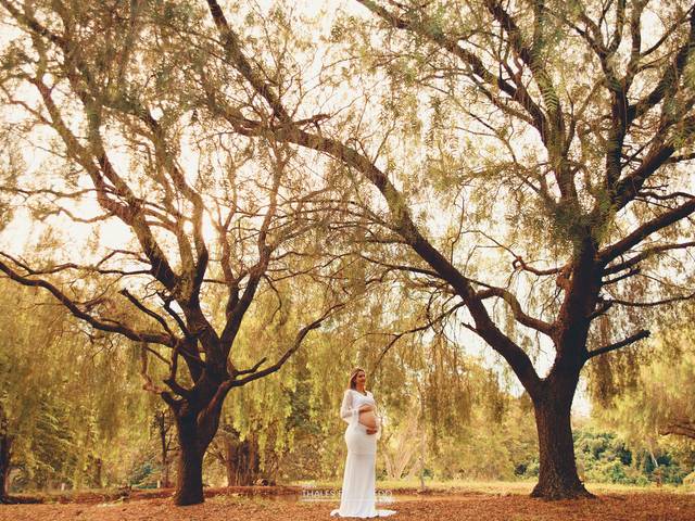 ENSAIO GESTANTE de Ensaio Gestante Lamis