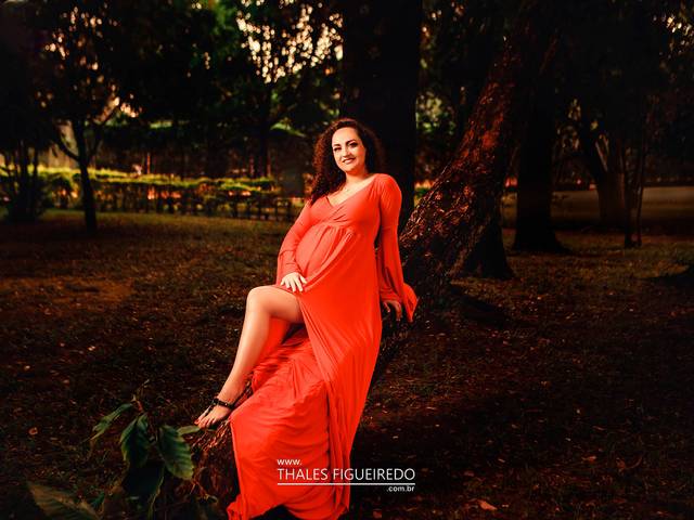 ENSAIO GESTANTE de ENSAIO GESTACIONAL - CAROL PERES