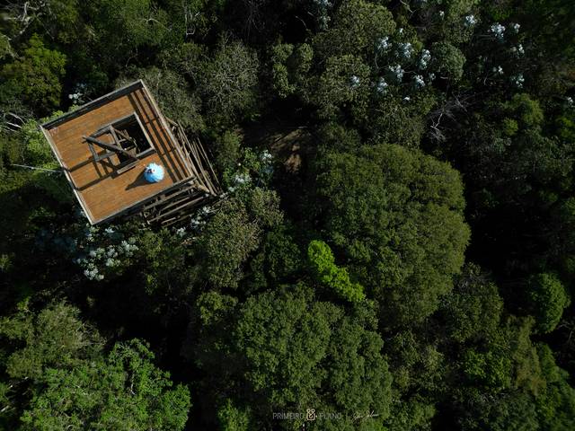 Debutante de RAFAELA VIANA