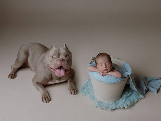 Ensaio newborn de Bento e suas primeiras memórias encantadoras