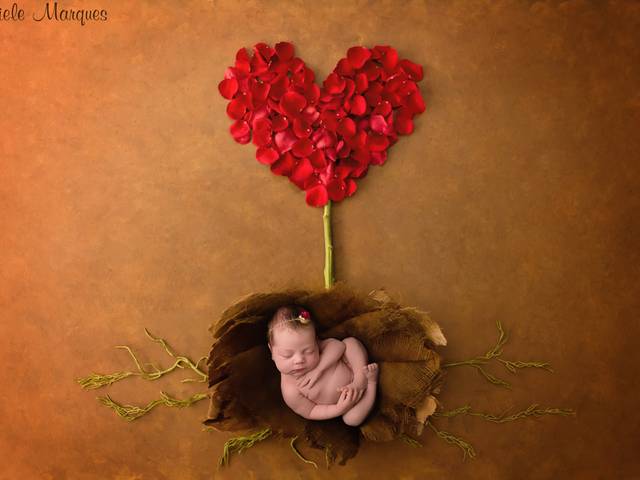 Ensaio newborn de Newborn Antonella