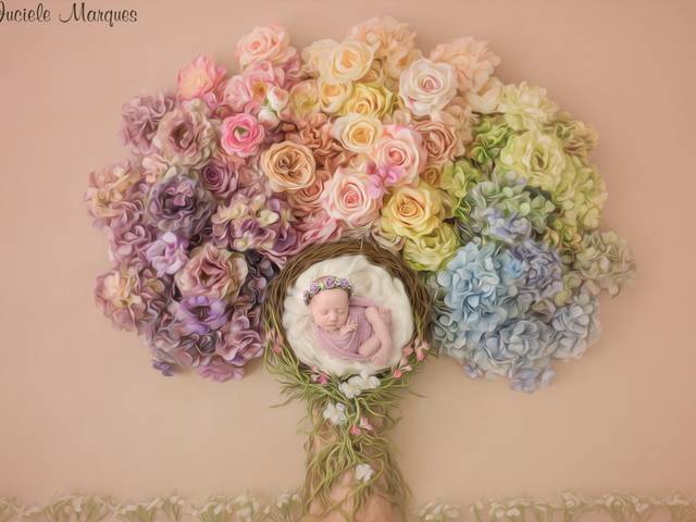 Ensaio newborn de Sarah