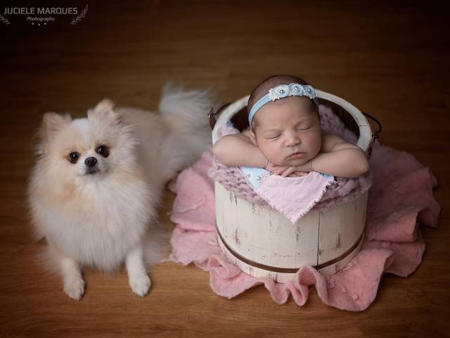 Ensaio newborn de Maria Luísa