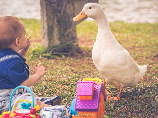 Infantil de Sessao 9 Meses Pedro Henrique