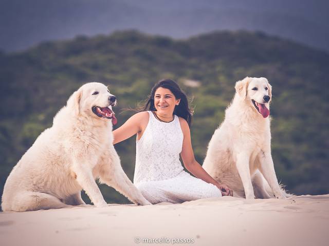 Sessão 15 Anos de Sessao 15 Anos Laiz