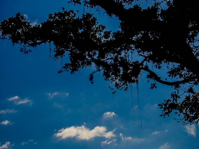 Gestante de A espera de Alice