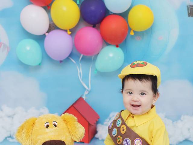 Acompanhamento meninos de Up! Uma aventura nas alturas