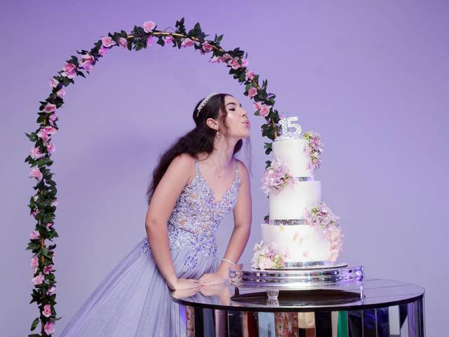 15 anos  de Ana Lívia 