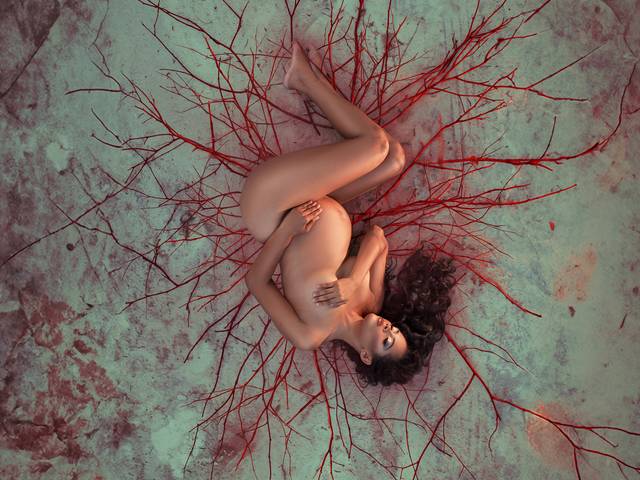 Ensaio Externo de Arlene