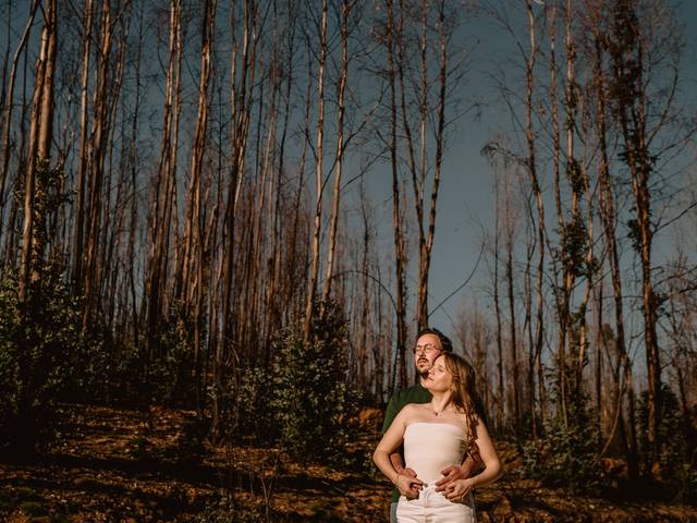 Solteiros de Patrícia e João 