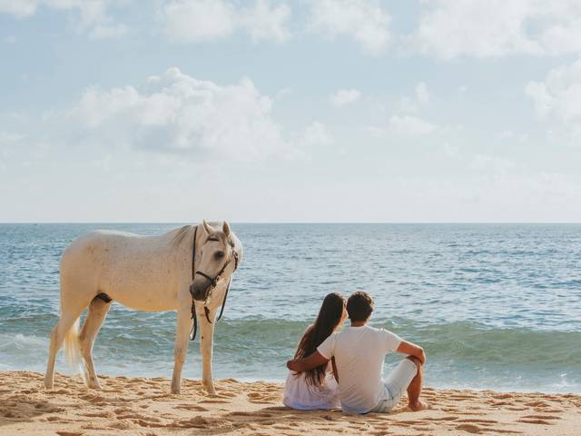 Solteiros de Patricia // Francisco 