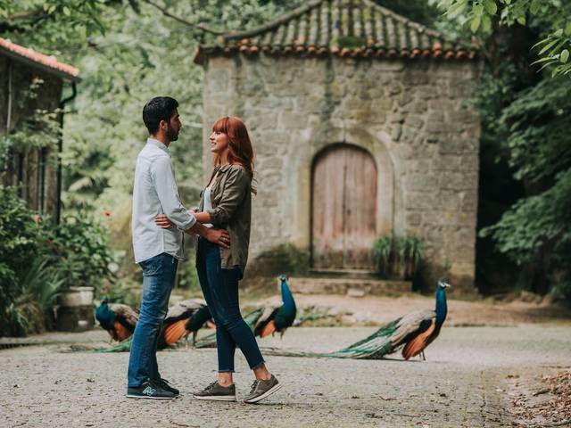 Solteiros de Tania // Zé 