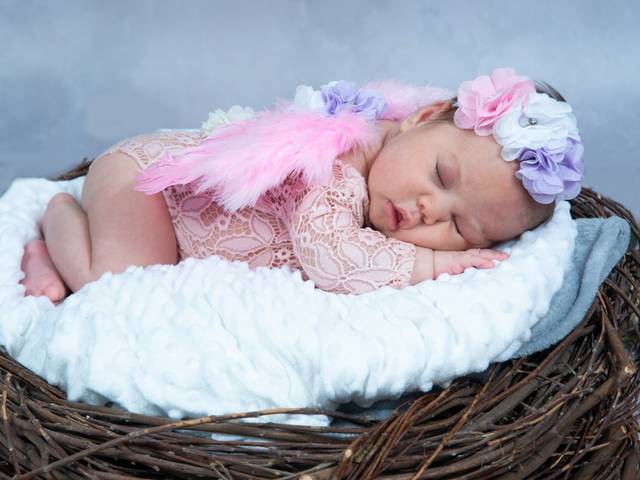 Fotografia de Acompanhamento de FOTOGRAFIA DE ACOMPANHAMENTO 