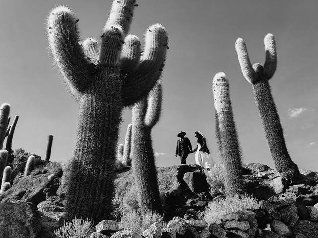 Post-Boda de Daniel & Dimelsa