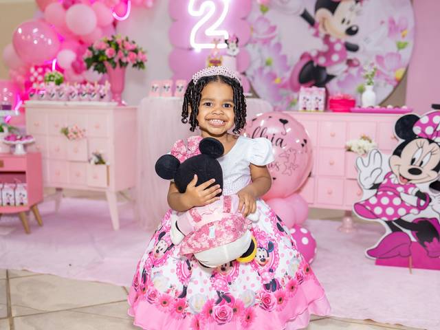 Aniversário Infantil  de Sophia 2 anos 