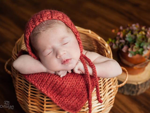 Newborn de NEW BORN ELISA