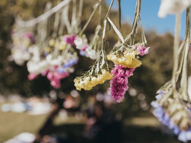 Batismo de Flower Power Day - Baptism