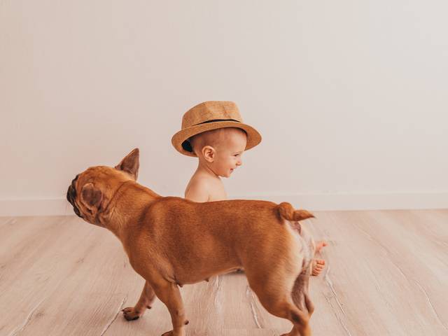 Família & Crianças de Ser Feliz!