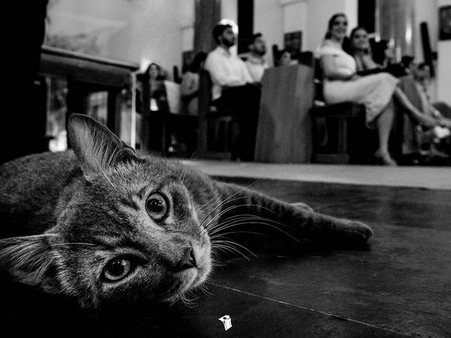 FORMATURA de Missa - Odontologia