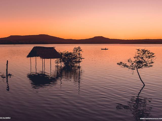 COTIDIANO de Piripiri 107 Anos