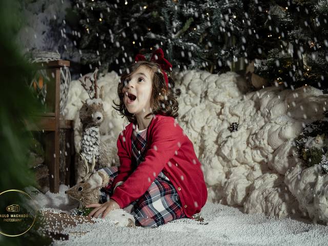 Sessões Natal de Bosque Mágico - Cristina Chaves