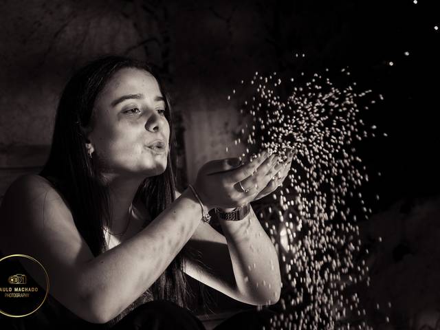 Sessões Natal de Bosque Mágico - Patrícia Carreiro