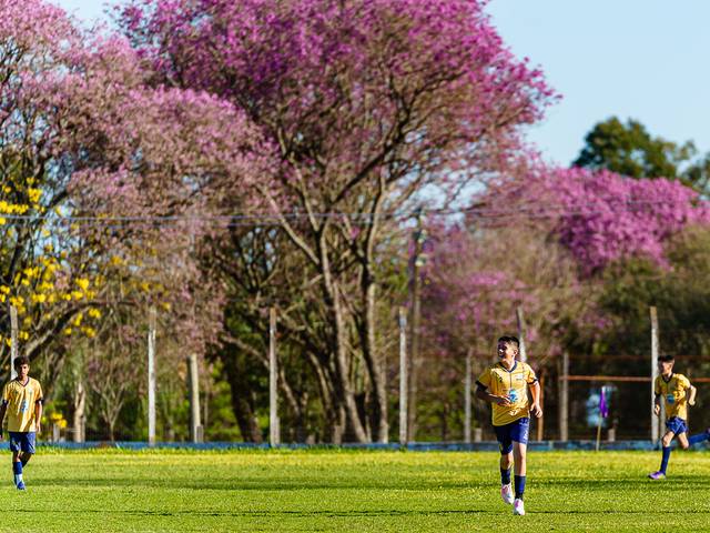 Futebol de Taça Planalto Medio de Futebol de Base