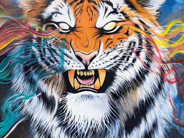 Arte de Grafites e Quadros