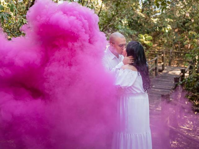 Gestantes de Emily e Rian - Revelação da Alice