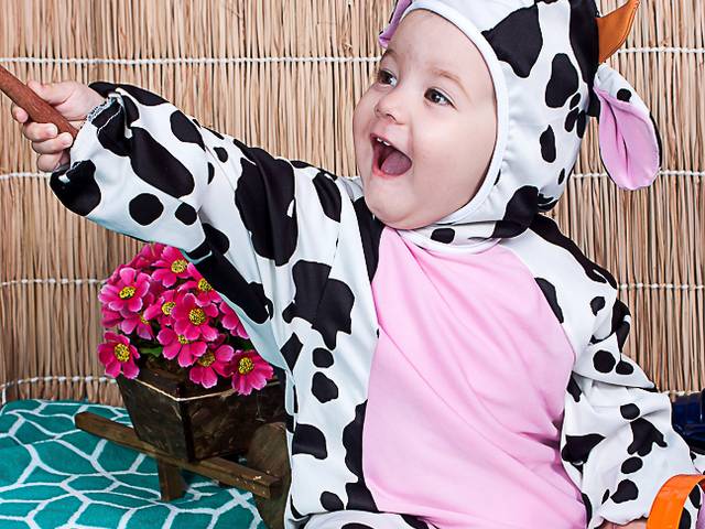 Book Infantil de Clarice
