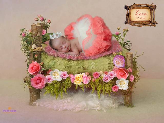 Newborn de Lara 12 dias