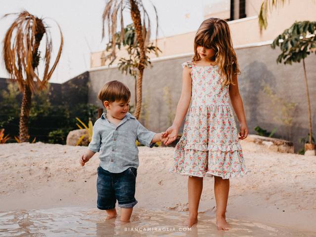 Famílias de Família Brondi