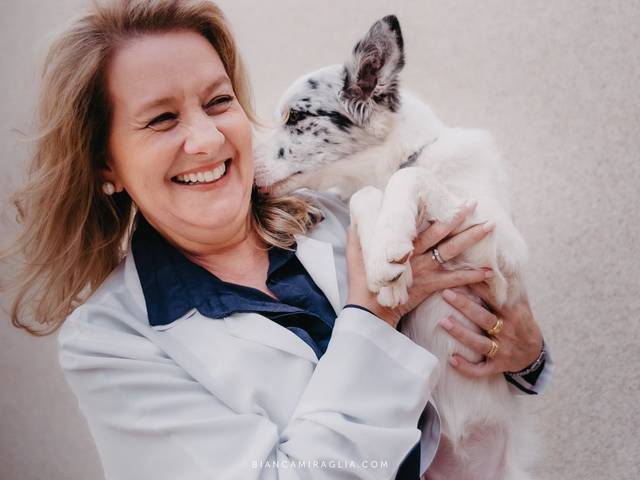 Comerciais de SILVIA SGARBOSA | Veterinária