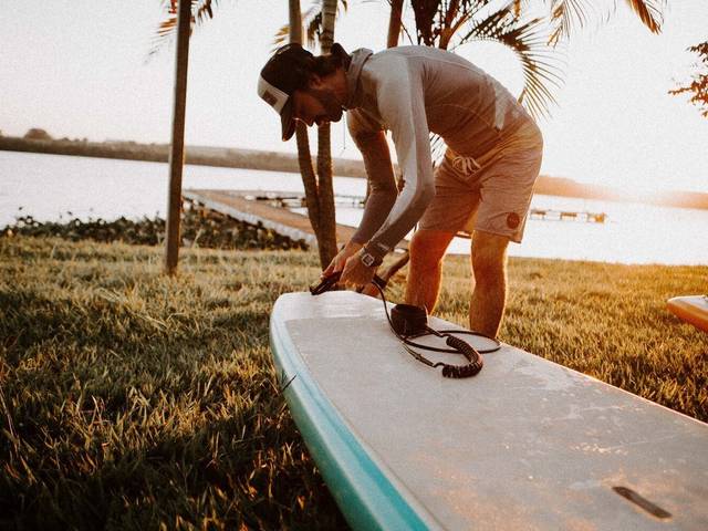 Famílias de Família Williams