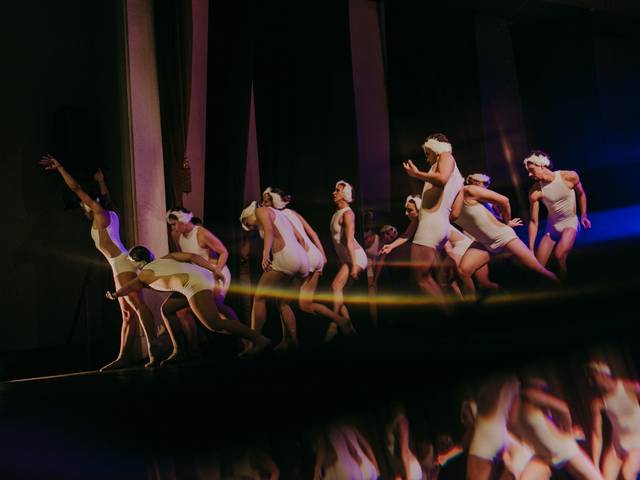 Comerciais de Festival Sigma 2024