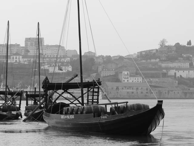 Countries / Cities of Porto - Portugal  2019