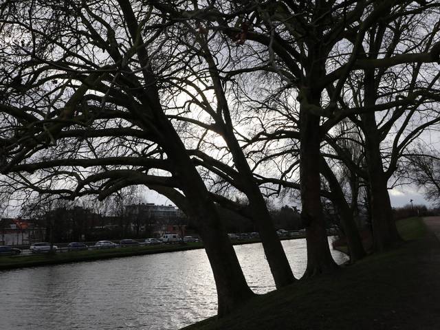 Landscape of Landscape