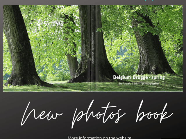 Book Collection of BRUGGE _Belgium Spring 